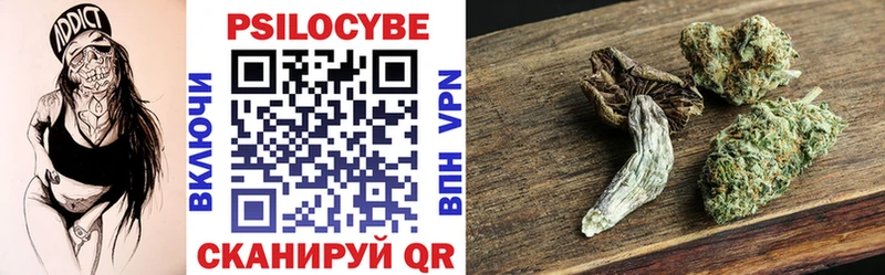 omg ТОР  Псков  Галлюциногенные грибы Psilocybe 
